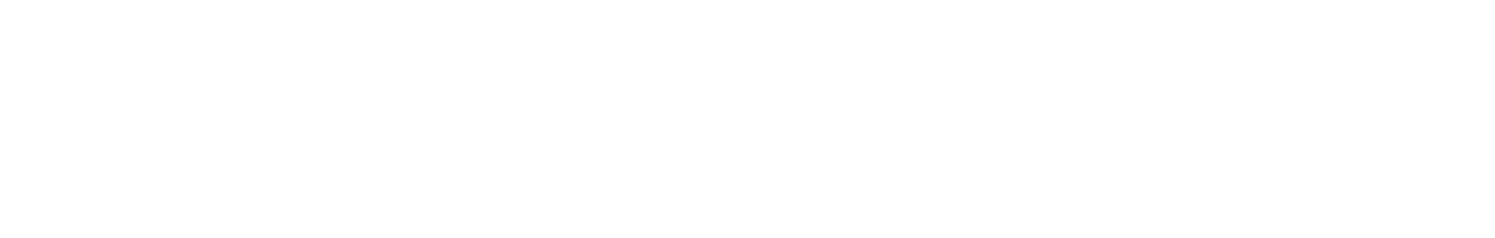 Terra Sonic International Logo